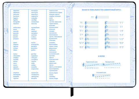 Дневник для музыкальной школы 48 л., обложка кожзам твердая, фольга, BRAUBERG, КЛАССИКА, 107369