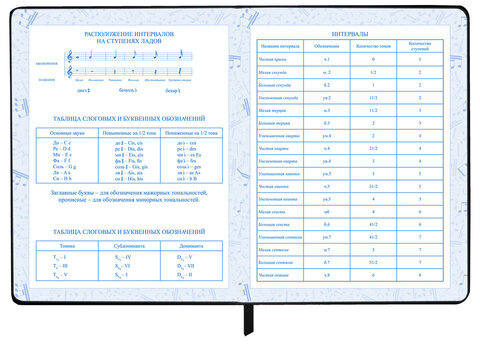 Дневник для музыкальной школы 48 л., обложка кожзам твердая, фольга, BRAUBERG, КЛАССИКА, 107369