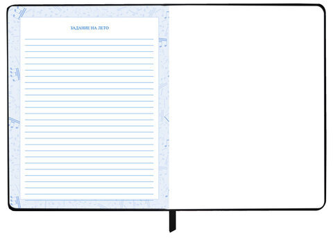 Дневник для музыкальной школы 48 л., обложка кожзам твердая, фольга, BRAUBERG, КЛАССИКА, 107369