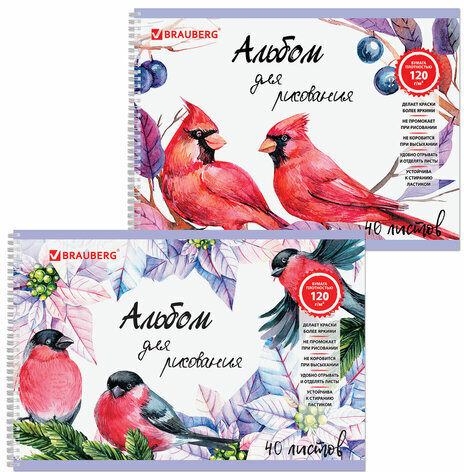 Альбом для рисования, А4, 40 л., гребень, выборочный лак, подложка, внутренний блок 120 г/м2, BRAUBERG, 205х290 мм, "Птицы" (2 вида), 105103
