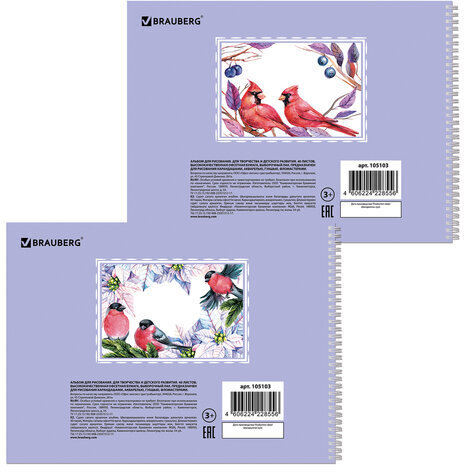 Альбом для рисования, А4, 40 л., гребень, выборочный лак, подложка, внутренний блок 120 г/м2, BRAUBERG, 205х290 мм, "Птицы" (2 вида), 105103