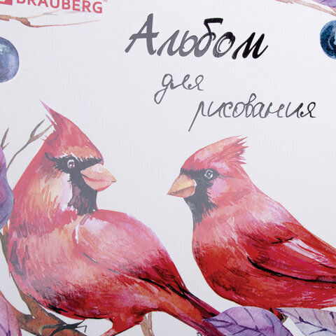 Альбом для рисования, А4, 40 л., гребень, выборочный лак, подложка, внутренний блок 120 г/м2, BRAUBERG, 205х290 мм, "Птицы" (2 вида), 105103