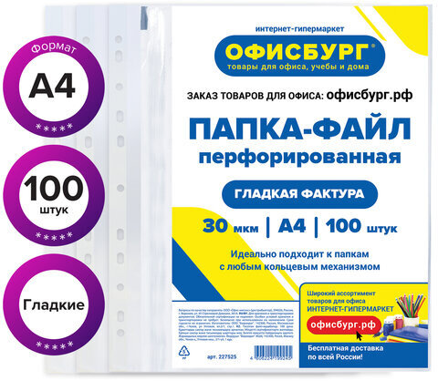 Папки-файлы перфорированные ОФИСБУРГ, А4, комплект 100 шт., гладкие, 30 мкм, 227525