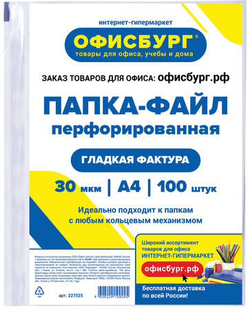 Папки-файлы перфорированные ОФИСБУРГ, А4, комплект 100 шт., гладкие, 30 мкм, 227525