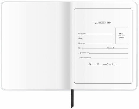 Дневник 1-4 класс 48 л., кожзам (гибкая), печать, фольга, ЮНЛАНДИЯ, "Football", 106159