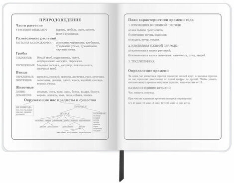 Дневник 1-4 класс 48 л., кожзам (гибкая), печать, фольга, ЮНЛАНДИЯ, "Football", 106159