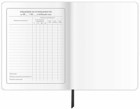 Дневник 1-4 класс 48 л., кожзам (гибкая), печать, фольга, ЮНЛАНДИЯ, "Football", 106159