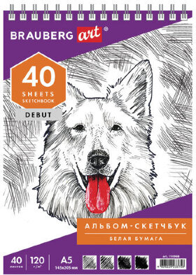 Скетчбук, белая бумага 120 г/м2, 145х205 мм, 40 л., гребень, жёсткая подложка, BRAUBERG ART DEBUT, 110988