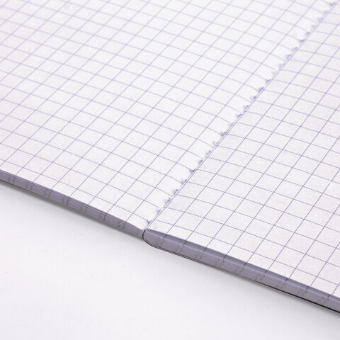 Блокнот МАЛЫЙ ФОРМАТ (103х148 мм) А6, 32 л., сшивка, декор, клетка, ЮНЛАНДИЯ, Фламинго, 662706