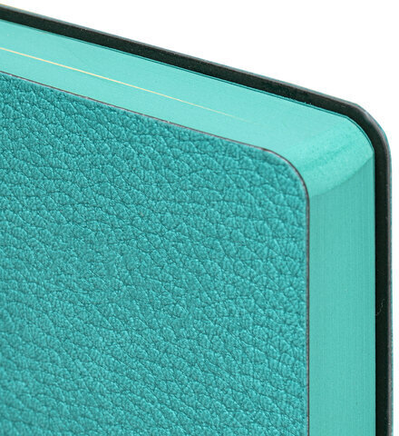 Ежедневник недатированный А5 (138х213 мм) BRAUBERG "Stylish", кожзам, гибкий, 160 л., бирюзовый, 111862