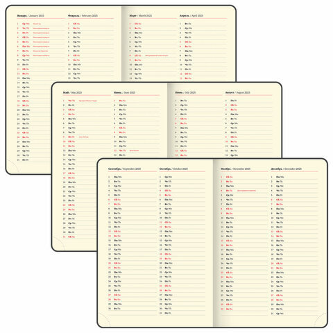 Ежедневник датированный 2025, БОЛЬШОЙ ФОРМАТ, 210х297 мм, А4, BRAUBERG "Iguana", под кожу, красный, 115738