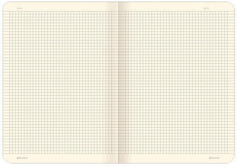 Тетрадь 60 л. в клетку обложка SoftTouch, бежевая бумага 70 г/м2, сшивка, В5 (179х250 мм), ТУМАН, BRAUBERG, 1403819