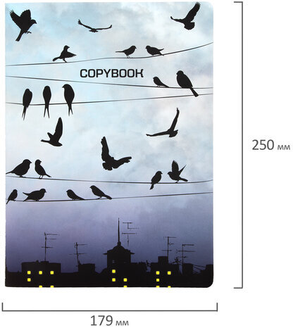 Тетрадь 60 л. в клетку обложка SoftTouch, бежевая бумага 70 г/м2, сшивка, В5 (179х250 мм), ТУМАН, BRAUBERG, 1403819