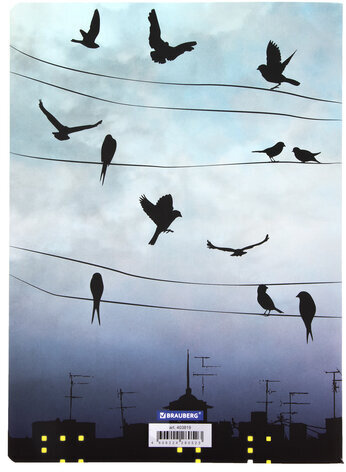 Тетрадь 60 л. в клетку обложка SoftTouch, бежевая бумага 70 г/м2, сшивка, В5 (179х250 мм), ТУМАН, BRAUBERG, 1403819