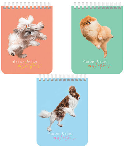 Блокнот МАЛЫЙ ФОРМАТ А6 108х145 мм, 40 л., гребень, картон, клетка, BRAUBERG KIDS, "Собачки", 114394