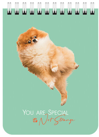 Блокнот МАЛЫЙ ФОРМАТ А6 108х145 мм, 40 л., гребень, картон, клетка, BRAUBERG KIDS, "Собачки", 114394