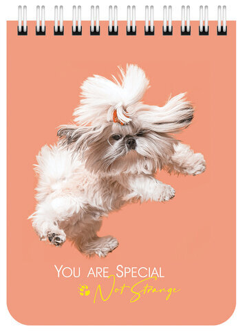 Блокнот МАЛЫЙ ФОРМАТ А6 108х145 мм, 40 л., гребень, картон, клетка, BRAUBERG KIDS, "Собачки", 114394