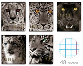 Тетрадь А5 48 л. АЛЬТ скоба, клетка, глянцевый лак, "Большие кошки" (5 видов), 7-48-366