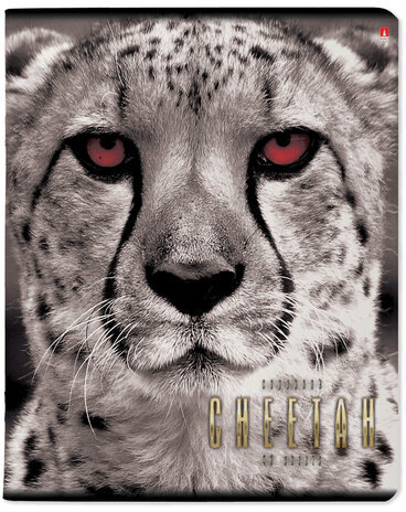 Тетрадь А5 48 л. АЛЬТ скоба, клетка, глянцевый лак, "Большие кошки" (5 видов), 7-48-366