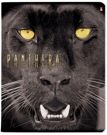 Тетрадь А5 48 л. АЛЬТ скоба, клетка, глянцевый лак, "Большие кошки" (5 видов), 7-48-366