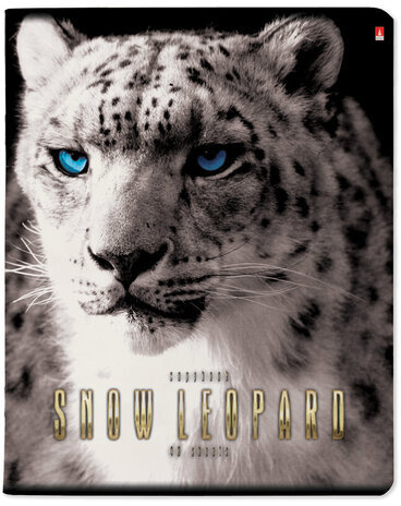 Тетрадь А5 48 л. АЛЬТ скоба, клетка, глянцевый лак, "Большие кошки" (5 видов), 7-48-366