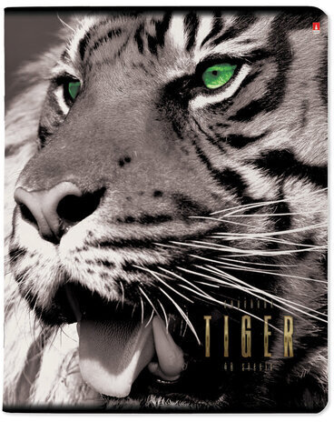 Тетрадь А5 48 л. АЛЬТ скоба, клетка, глянцевый лак, "Большие кошки" (5 видов), 7-48-366