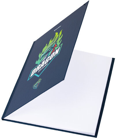 Дневник 1-11 класс 40 л., твердый, BRAUBERG, матовая ламинация, "Dragon", 107178