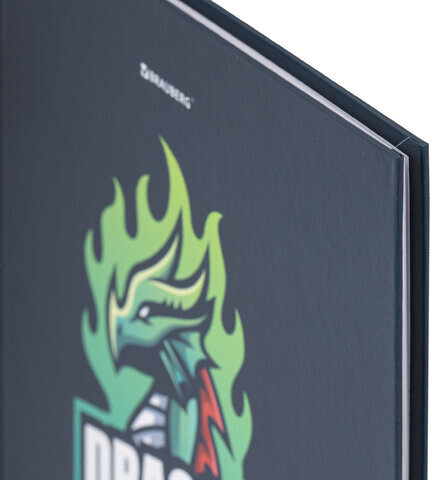 Дневник 1-11 класс 40 л., твердый, BRAUBERG, матовая ламинация, "Dragon", 107178