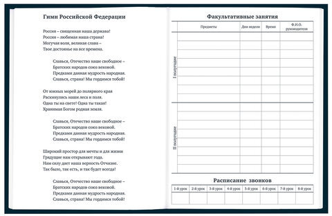 Дневник 1-11 класс 40 л., твердый, BRAUBERG, матовая ламинация, "Dragon", 107178
