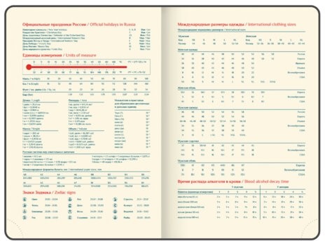 Ежедневник датированный 2026 А5 148х218 мм, GALANT "Infinity Silver", под кожу, серый, 117499