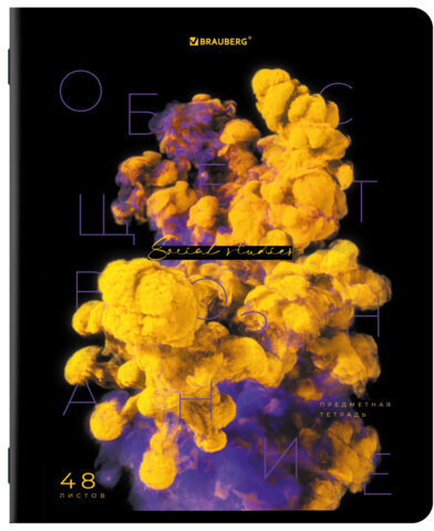 Тетради предметные, КОМПЛЕКТ 12 ПРЕДМЕТОВ, "PIGMENT", 48 л., глянцевый УФ-лак, BRAUBERG, 404834