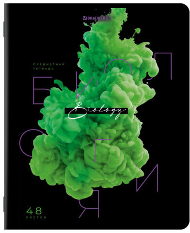 Тетради предметные, КОМПЛЕКТ 12 ПРЕДМЕТОВ, "PIGMENT", 48 л., глянцевый УФ-лак, BRAUBERG, 404834