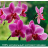 Гель для душа 750 мл, PALMOLIVE НАТУРЭЛЬ "Черная орхидея с увлажняющим молочком", 8693495035972