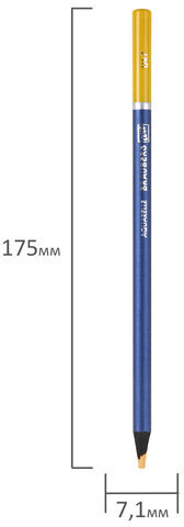 Карандаши художественные цветные акварельные, 48 цветов, 4 мм, металлический кейс, BRAUBERG ART PREMIERE, 181924