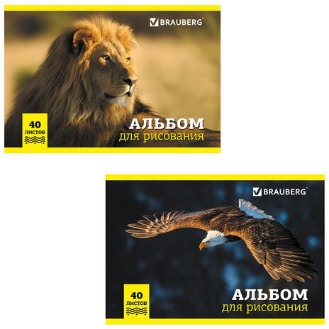 Альбом для рисования, А4, 40 л., скоба, обложка картон, BRAUBERG, 200х283 мм, "Дикие животные" (2 вида), 104876