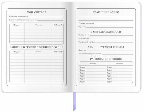 Дневник 1-4 класс 48 л., кожзам (гибкая), печать, фольга, ЮНЛАНДИЯ, "Балерина", 106161