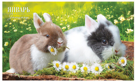 Календарь квартальный с бегунком 2023 г., 3 блока, 4 гребня, СуперЛюкс, "Год Кролика", HATBER, 3Кв4гр2ц_26235