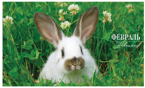 Календарь квартальный с бегунком 2023 г., 3 блока, 4 гребня, СуперЛюкс, "Год Кролика", HATBER, 3Кв4гр2ц_26235