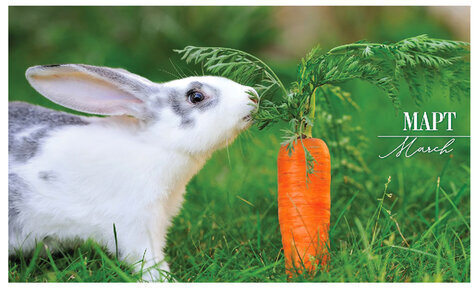 Календарь квартальный с бегунком 2023 г., 3 блока, 4 гребня, СуперЛюкс, "Год Кролика", HATBER, 3Кв4гр2ц_26235