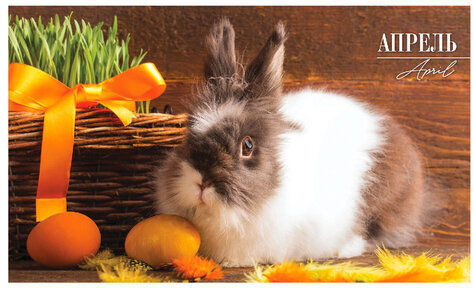 Календарь квартальный с бегунком 2023 г., 3 блока, 4 гребня, СуперЛюкс, "Год Кролика", HATBER, 3Кв4гр2ц_26235