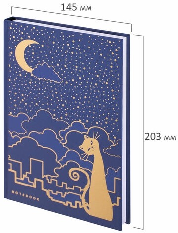 Блокнот А5 (135х206 мм), 80 л., твердый переплет, клетка, фольга, BRAUBERG, "Кошечка", 126051