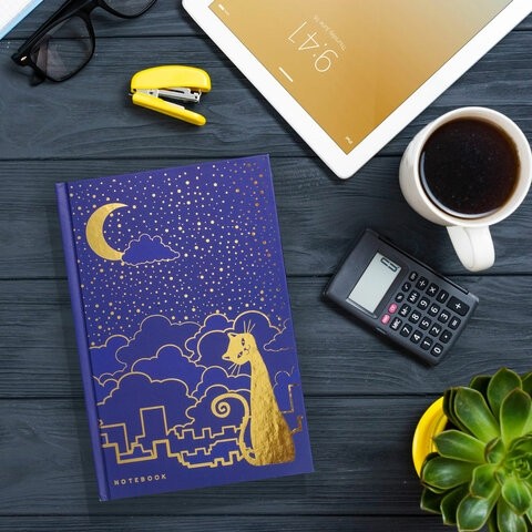 Блокнот А5 (135х206 мм), 80 л., твердый переплет, клетка, фольга, BRAUBERG, "Кошечка", 126051