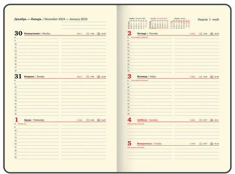 Еженедельник датированный 2025, А5, 145х215 мм, BRAUBERG "Iguana", под кожу, синий, 115960
