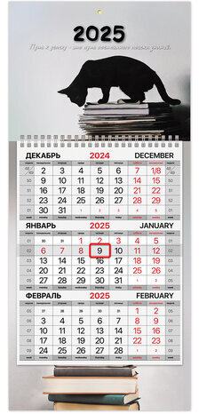 Календарь квартальный на 2025 г., 1 блок, 1 гребень, с бегунком, МИНИ, офсет, BRAUBERG, "Smart cat", 116123