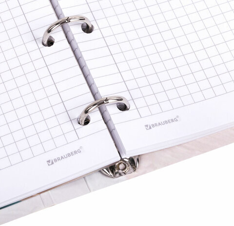 Тетрадь на кольцах А5 160х212 мм, 120 листов, картон, фольга, клетка, BRAUBERG, "Delicate flowers", 404737