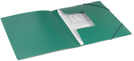 Папка на резинках BRAUBERG, стандарт, зеленая, до 300 листов, 0,5 мм, 221621