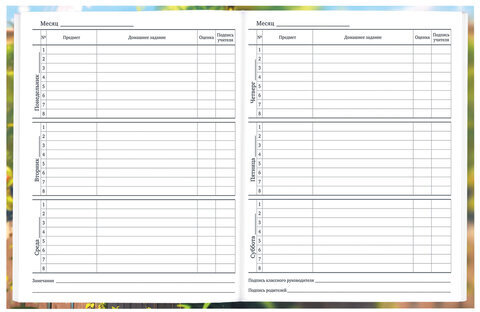 Дневник 1-11 класс 40 л., твердый, BRAUBERG, матовая ламинация, "Cute Cat", 107180