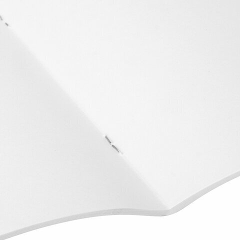 Альбом для рисования, А4, 40 листов, обложка картон, BRAUBERG, 200х283 мм, "Автостиль" (2 вида), 102852