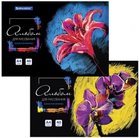 Альбом для рисования А4 40 л., склейка, обложка картон, подложка, BRAUBERG, 205х290 мм, 106330