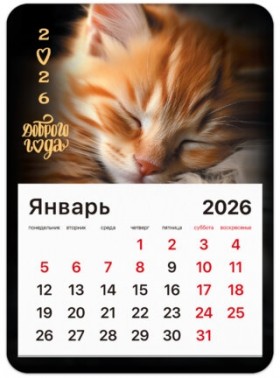 Календарь отрывной на магните на 2026 г., BRAUBERG, 130x180 мм, склейка, &quot;Котик&quot;, 117289